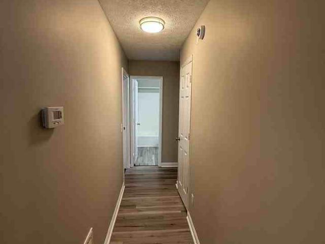 Apartment for rent in Athens, Georgia