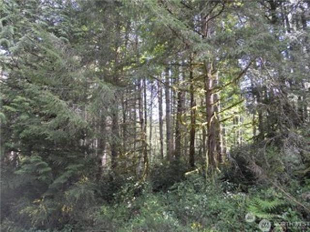 Land for sale in Anderson Island Land for sale in Anderson Island