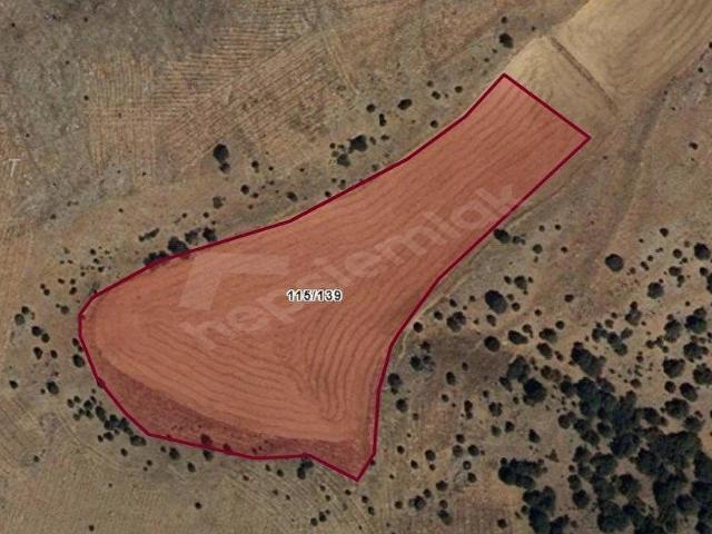 Emirdağ, Afyonkarahisar içerisinde satılık Arsa