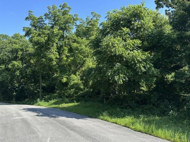 Land for sale in Tennessee