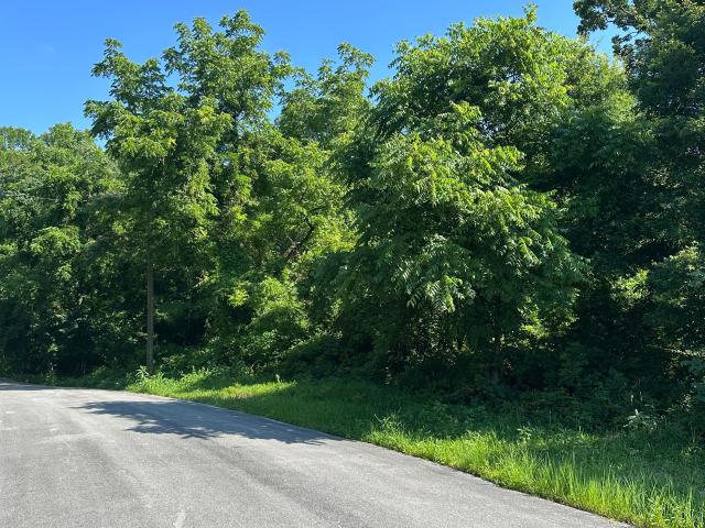 Land for sale in Tennessee