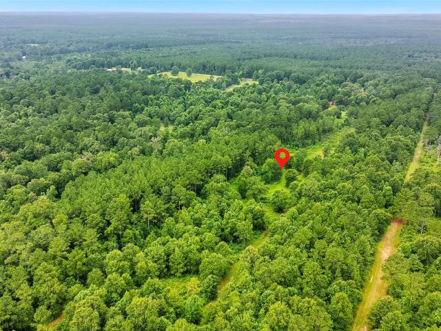 Farm for sale in Shepherd, Texas