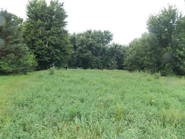 Land for sale in Ogden, Iowa