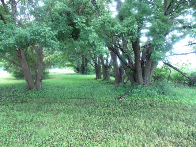 Land for sale in Ogden, Iowa