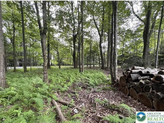 Property for sale in Mount Pocono, Pennsylvania