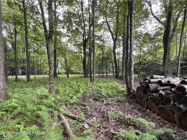 Land for sale in Cresco, Pennsylvania