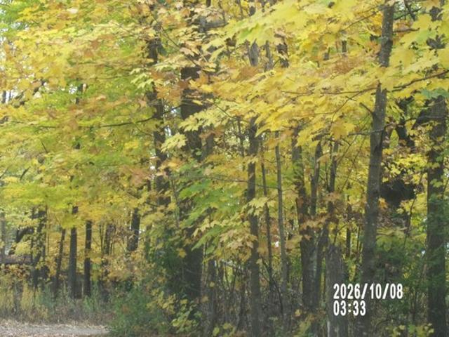 Land for sale in Ogilvie, Kanabec County