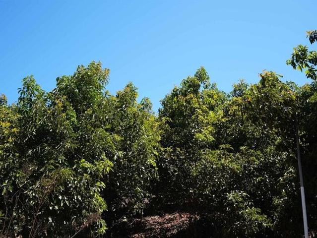 Land for sale in Vista, San Diego County