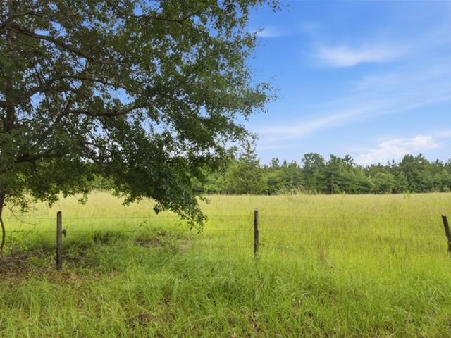 Land for sale in Alto, Texas