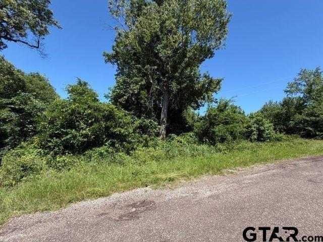 Land for sale in Henderson, Texas