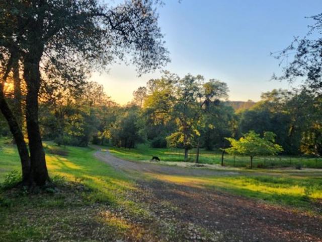 Land for sale in Penn Valley, California