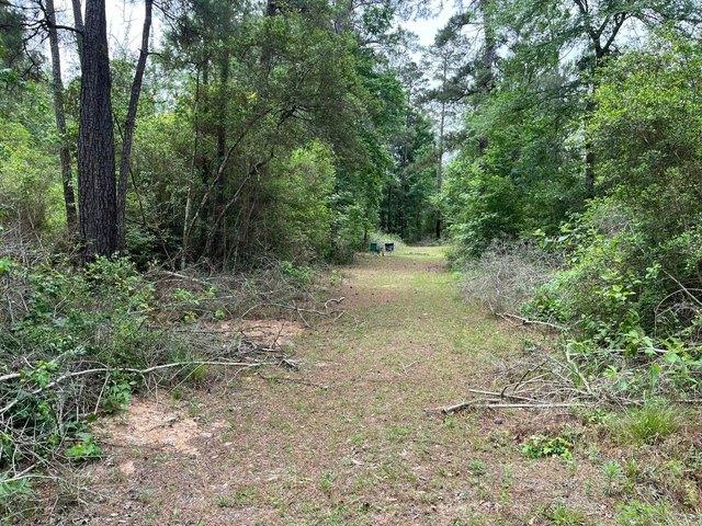 Land for sale in Willis, Texas