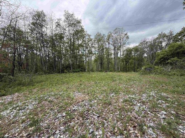 Farm for sale in Valley Head, West Virginia