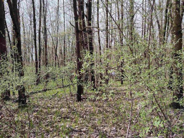 Land for sale in Isabella, Michigan