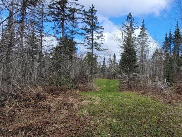 Land for sale in Sawyer, Wisconsin