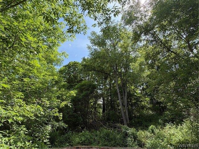 Land for sale in Portageville, New York