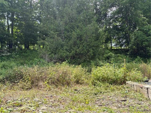 Land for sale in Centerville, New York