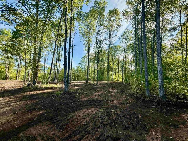 Land for sale in Michigan