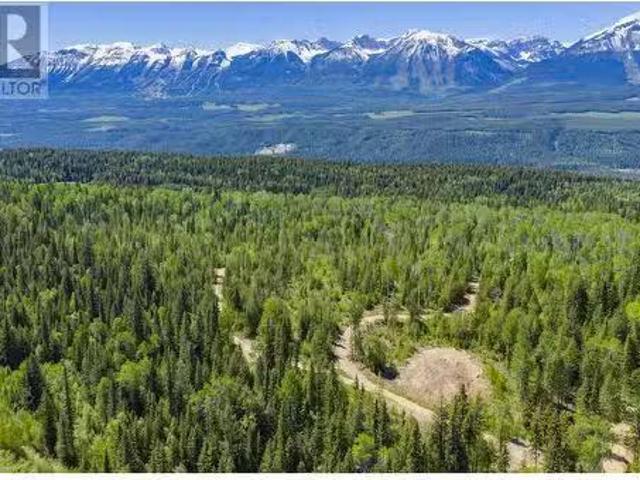 House for sale in Parson, British Columbia