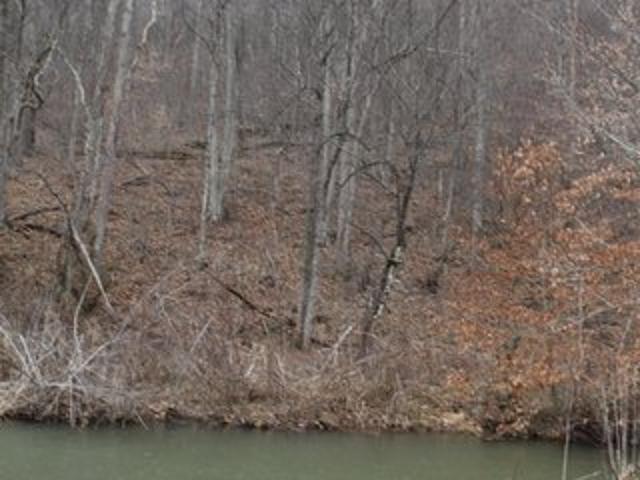 Land for sale in Webster Springs, West Virginia