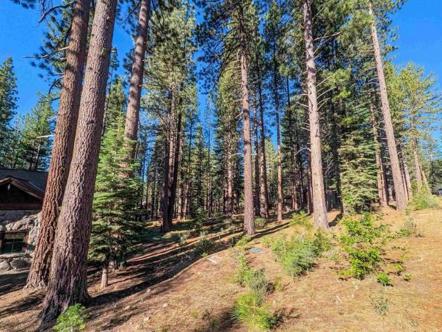Land for sale in Truckee