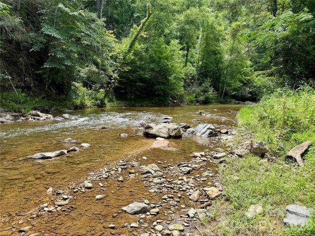 Land for sale in Marshall, North Carolina