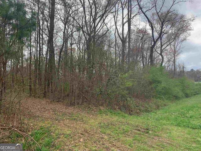 Land for sale in Spalding, Georgia