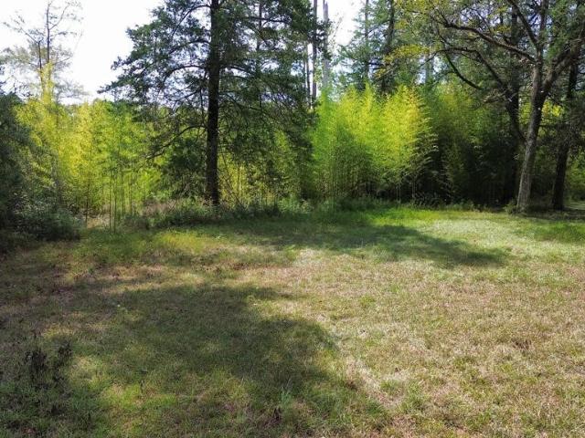 Land for sale in Burkeville, Newton County
