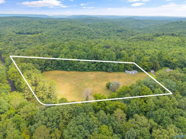 Land for sale in Grant, Alabama