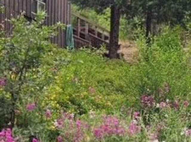 House for sale in Kyburz, California
