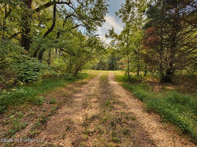 Land for sale in Sardis, Mississippi