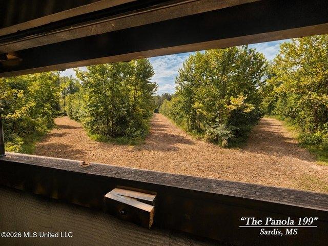 Land for sale in Sardis, Panola County