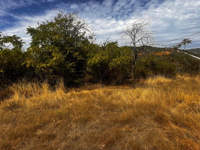 Land for sale in Shasta, California