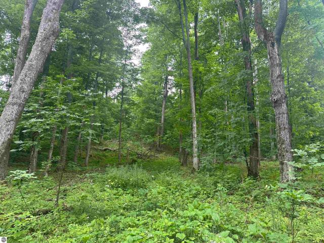 Land for sale in Maple City, Michigan