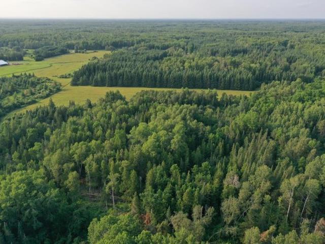 Land for sale in Meadowlands, Minnesota