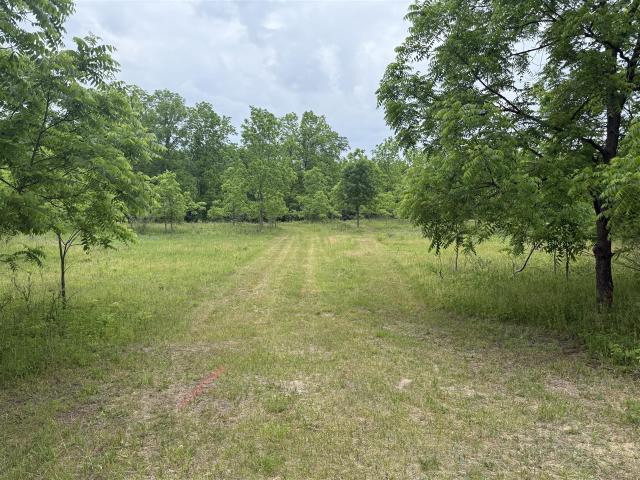 Land for sale in Michigan