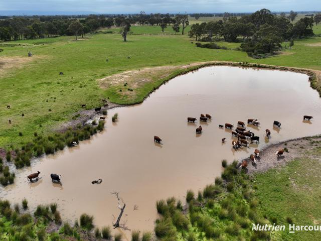 Property for sale in Flynn, Victoria