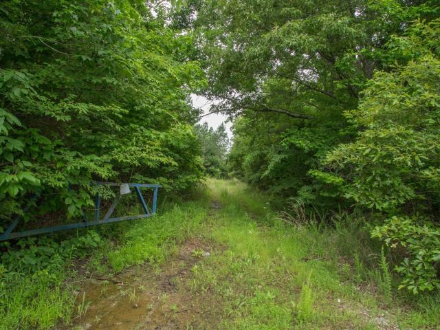 Land for sale in Tennessee