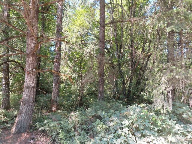 Land for sale in Winlock, Washington