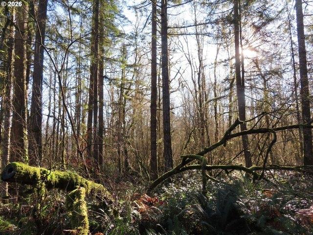 Land for sale in Winlock, Washington