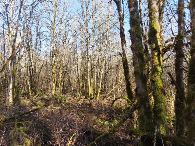 Property for sale in Winlock, Washington