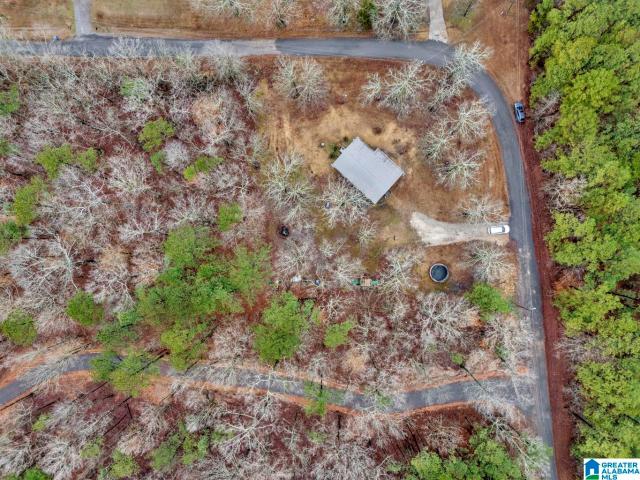 House for sale in Ashville, Alabama