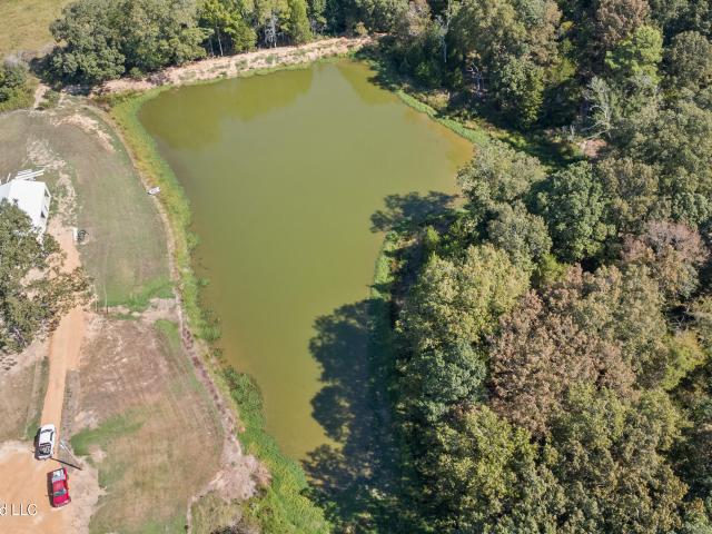 Land for sale in Coldwater, Tate County