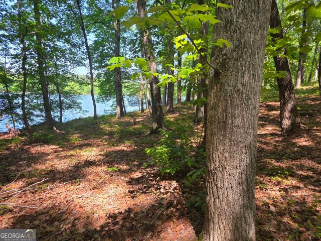 Land for sale in Covington, Newton County