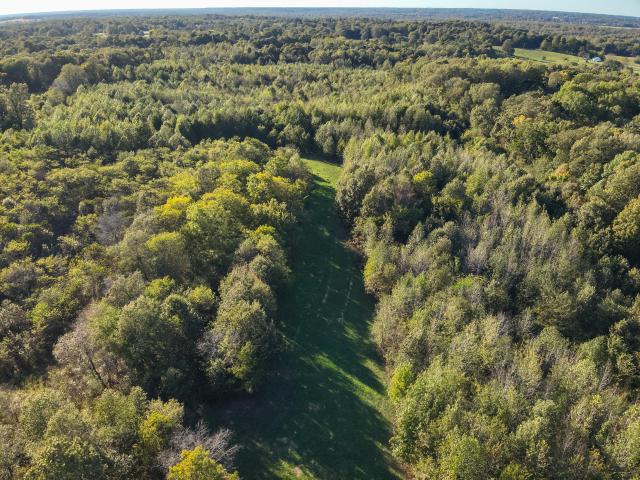 Land for sale in Bardwell, Kentucky