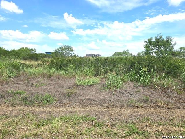 Land for sale in Devine, Texas