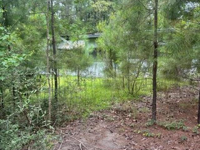 Land for sale in Broaddus, Texas