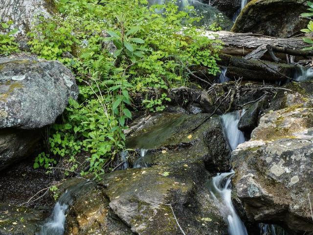House for sale in Spring Lake, Dillard
