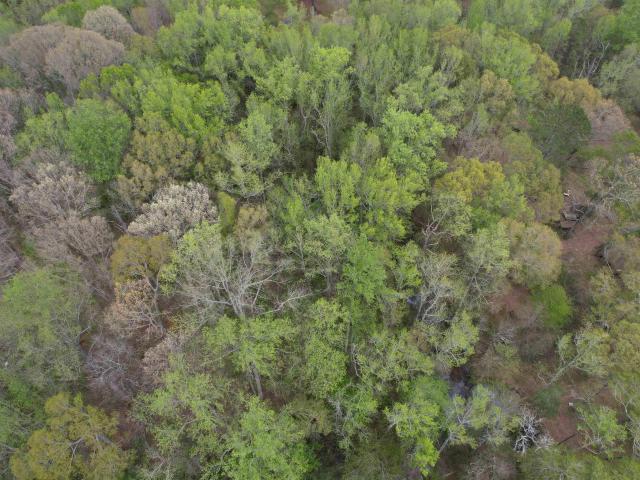Land for sale in Anderson, South Carolina