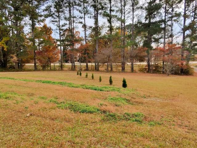 Commercial for sale in Jenkinsburg, Georgia